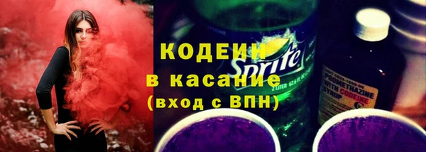 прущие грибы Горнозаводск
