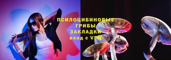 гидропоника Горняк