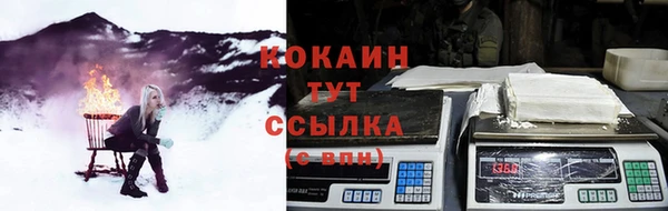прущие грибы Горнозаводск
