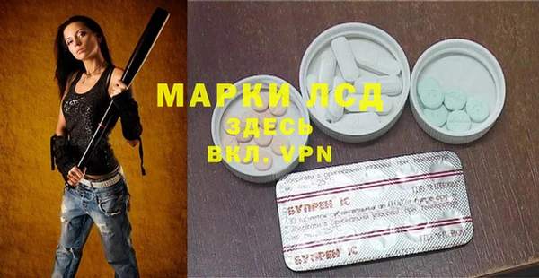 прущие грибы Горнозаводск