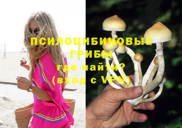 прущие грибы Горнозаводск