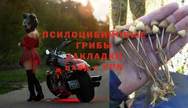 дурь Нязепетровск
