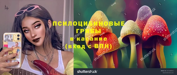 прущие грибы Горнозаводск