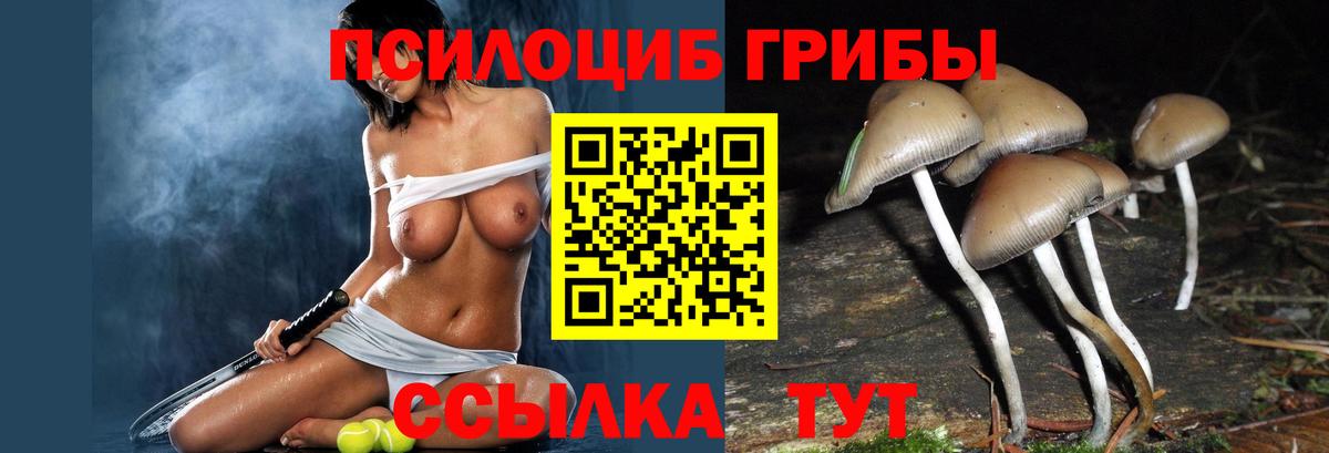 что такое наркотик  Вход с VPN  Тутаев  Галлюциногенные грибы GOLDEN TEACHER 